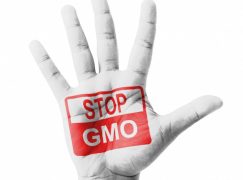 Vermont Passes Law Requiring GMO Labeling