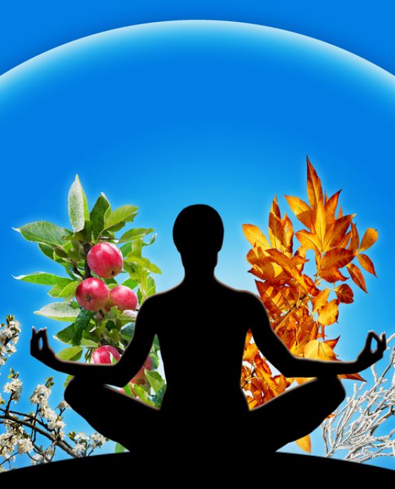Understanding of the Vital Source of Life: Agni (Digestive Fire)