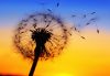 4 Reasons To Forgive and Move On