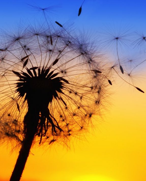 4 Reasons To Forgive and Move On