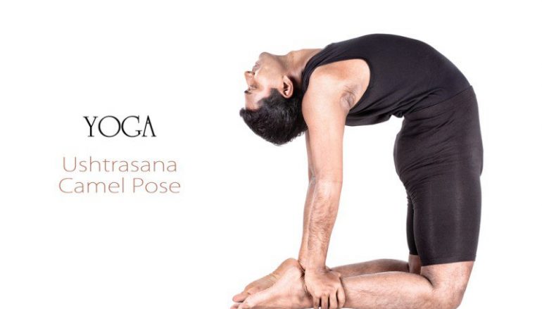 Camel Pose | Must-haves Before Embarking On Camel Pose