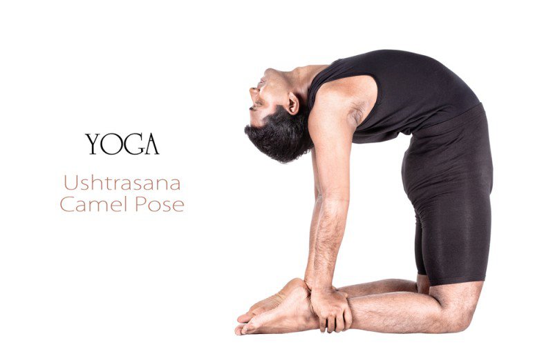How to Do Camel Pose in Yoga | Ustrasana | YogaCanada