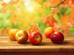 Why Apples? + A Healthy Recipe
