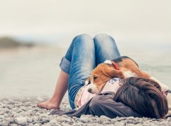 Unconditional Love – As Taught by the Four-Legged Masters