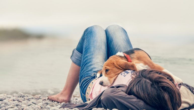 Unconditional Love – As Taught by the Four-Legged Masters