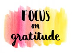 Finding Gratitude Amongst The Chaos