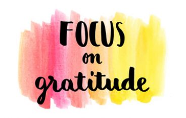 Finding Gratitude Amongst The Chaos