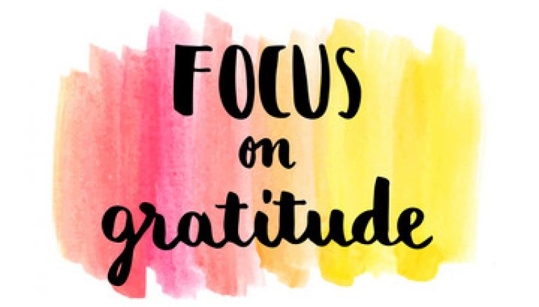 Finding Gratitude Amongst The Chaos