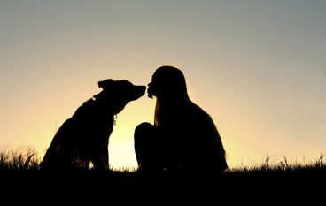 4 Life Lessons You Can Learn From Your Dog