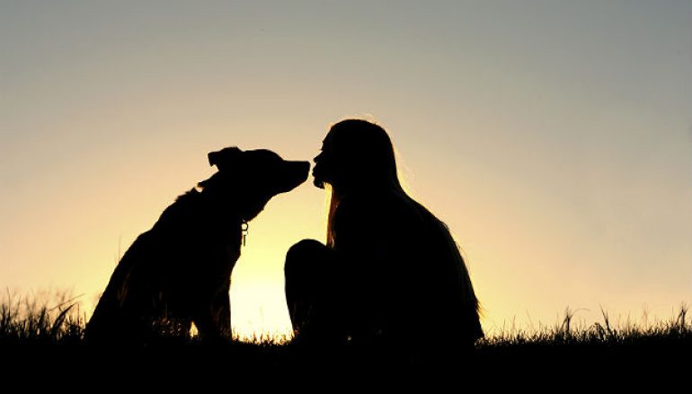 4 Life Lessons You Can Learn From Your Dog