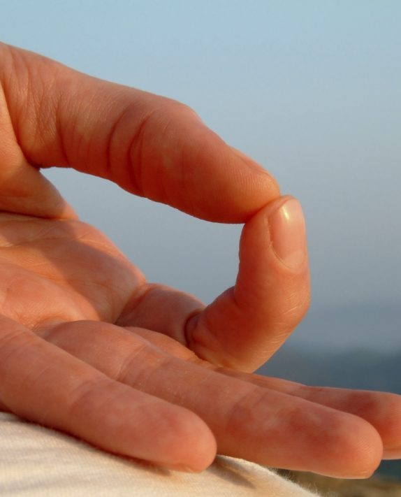 A Picture Perfect Yoga Lesson:  The 8 Limbs