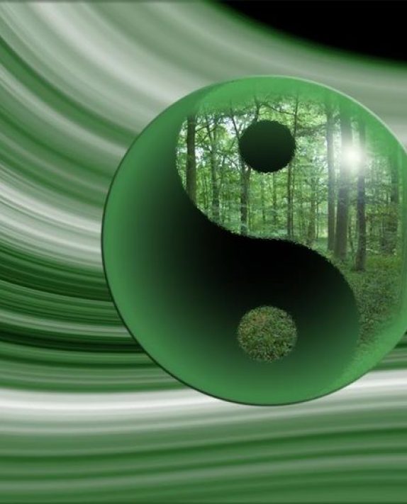 Yin & Yang: Embracing Opposites