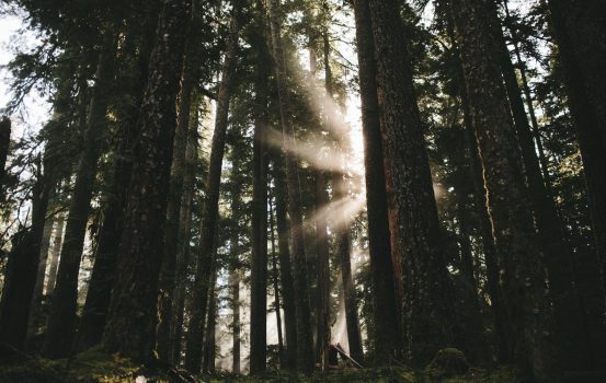 Shining A Light On Anxiety