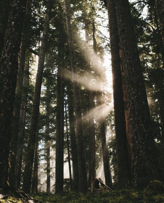 Shining A Light On Anxiety