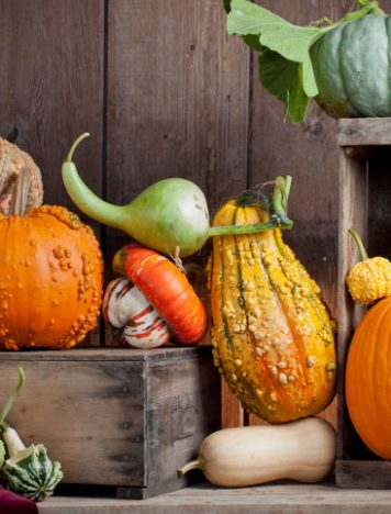 For the Love of (Winter) Squash!