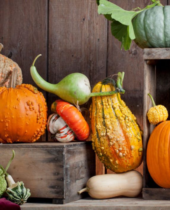 For the Love of (Winter) Squash!