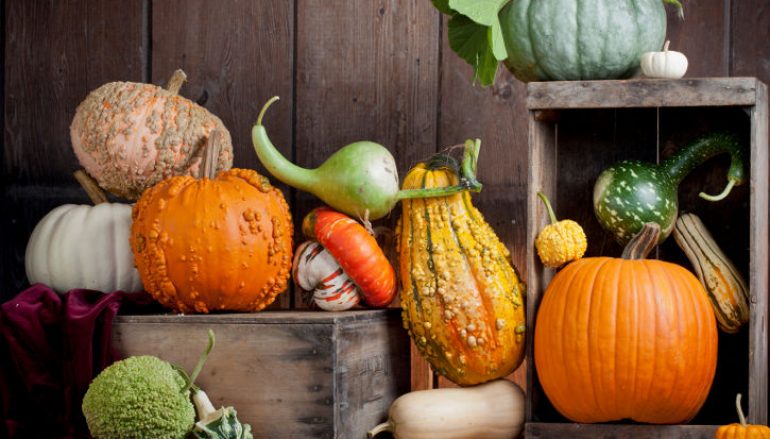 For the Love of (Winter) Squash!