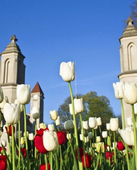 12 Must Sees of the Midwest- A Yoga Getaway!