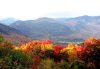 A Mantra Practice for Fall