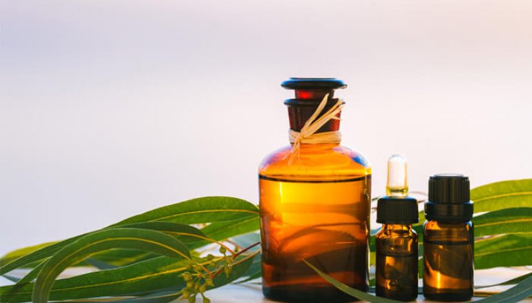 Combat Germs With These 4 Essential Oils!