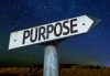 Discover Your Higher Purpose