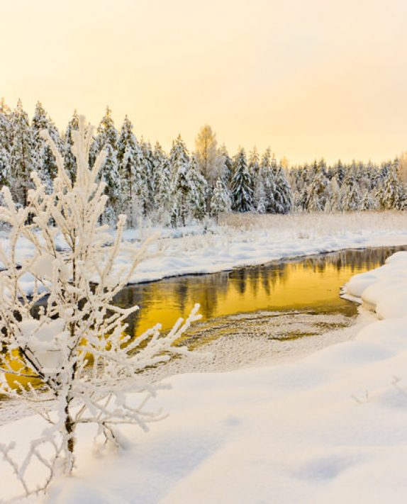 Managing the Holidays Mindfully