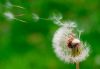 Breathe, Balance & Keep Your Own Pace