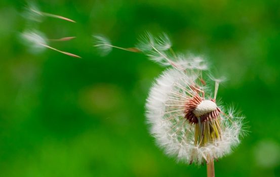 Breathe, Balance & Keep Your Own Pace