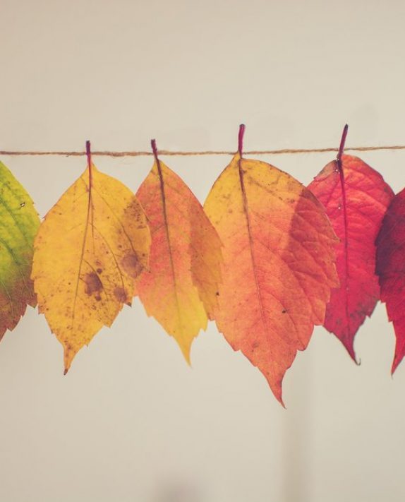 Fall Back into You – Best of List