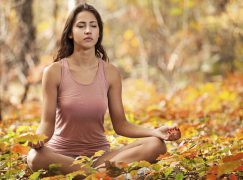 Make Like a Tree: 7 Steps to Balance Your Body This Fall