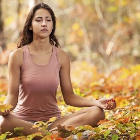 Make Like a Tree: 7 Steps to Balance Your Body This Fall