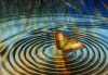 THE BUTTERFLY EFFECT