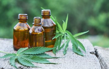 CBD 101:Things to Know Before You Try The Latest Natural Healing Trend