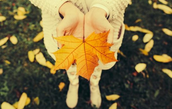 You will Fall for these Latest Wellness Trends!