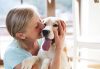 5 Ways an Emotional Support Animal Can Help Ease Your Worries