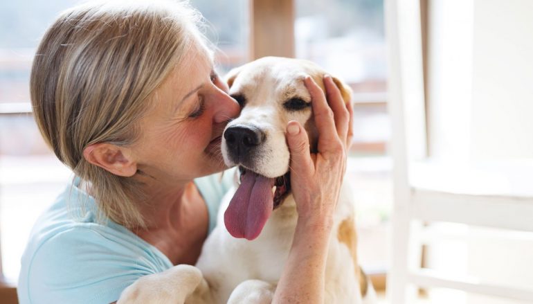 5 Ways an Emotional Support Animal Can Help Ease Your Worries