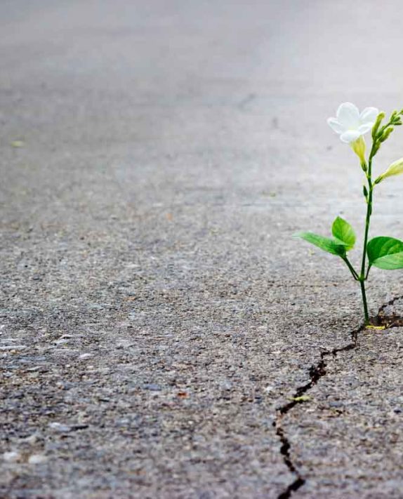 5 Tips and 4 Reminders to Help Reduce Stress in Challenging Times