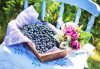 5 Heart-Healthy Foods to Work into Your Diet