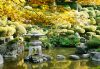 How to Create a Tranquil Garden
