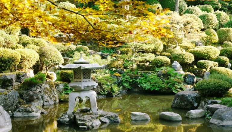 How to Create a Tranquil Garden
