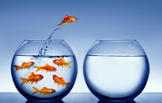 Don’t Wish for It, Work for It: 4 Steps To Creating Big Change in Your Life