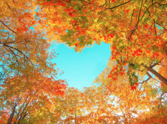 Love on Yourself with these Fall Favorites For Better Wellness