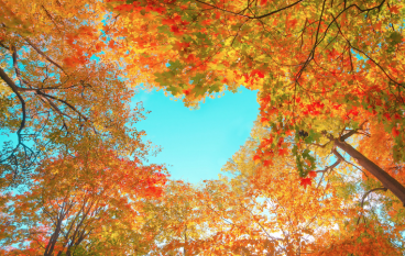 Love on Yourself with these Fall Favorites For Better Wellness