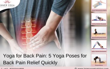 Yoga for Back Pain: 5 Yoga Poses for Back Pain Relief Quickly
