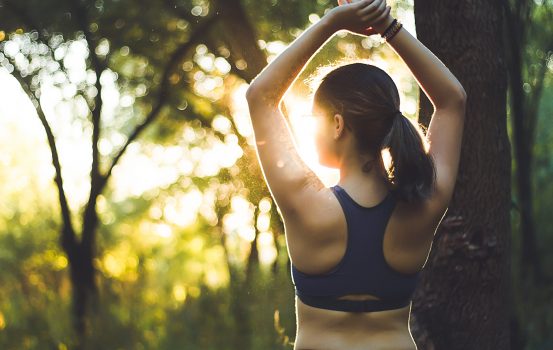 Summer Survival Favorites
